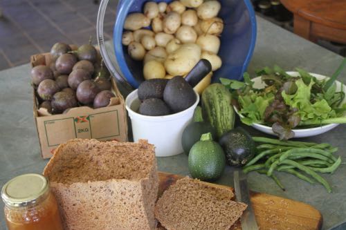 Fiber from the garden Fiber from the garden