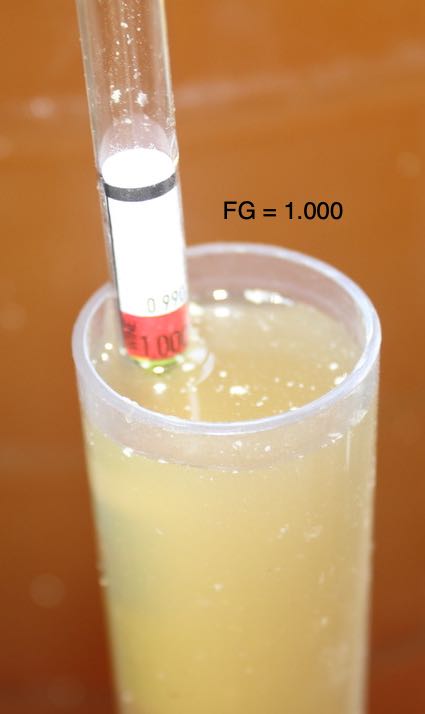 Final gravity of a peppadew mead