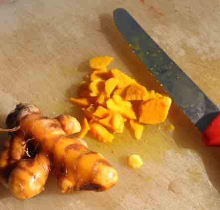 Fresh turmeric roots