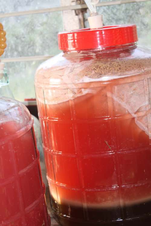 Fully aerated cherry guava mead Fully aerated cherry guava mead