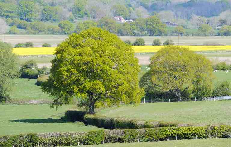 Geocaching in Kent. Geocaching in Kent.
