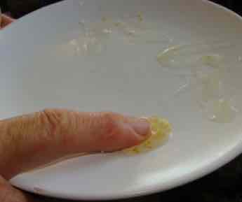 Making gooseberry jam means testing for the gel point. Making gooseberry jam means testing for the gel point.