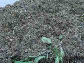 Grass cuttings compost Grass cuttings compost