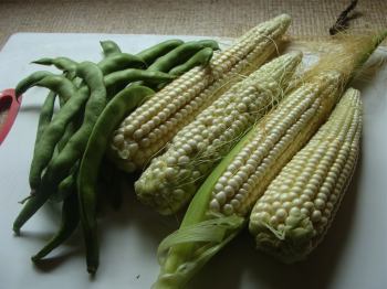 Green bean succotash recipes. Green bean succotash recipes.