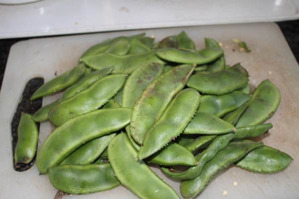 Green lima bean pods Green lima bean pods