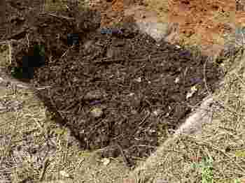 If you plan to grow a lemon tree it will need plenty of compost.