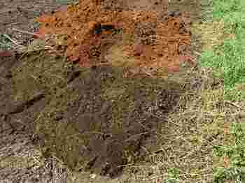 Grow a lemon tree; make the hole square.