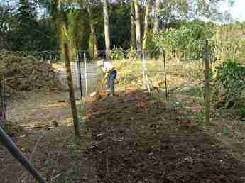 Lima beans add nitrogen to the soil but need plenty of humus to get started. Lima beans add nitrogen to the soil but need plenty of humus to get started.