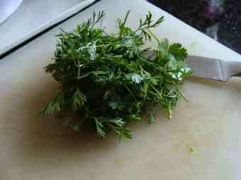 Growing cilantro will turn any soup into a winner. Growing cilantro will turn any soup into a winner.