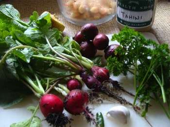 Growing radishes as an additive to hummus Growing radishes as an additive to hummus
