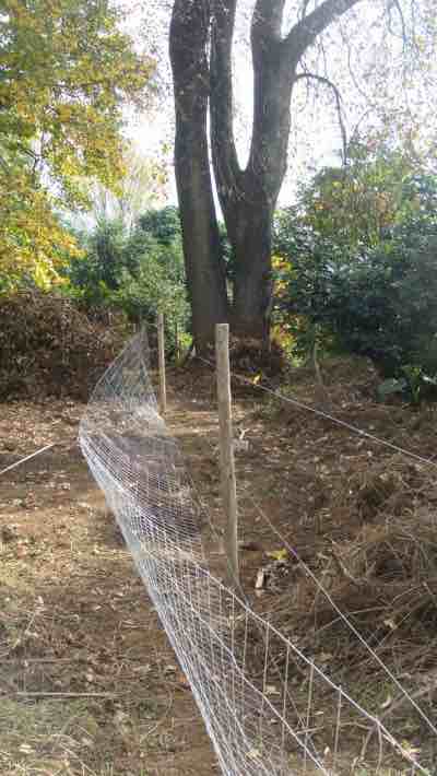 Hanging the vegetable garden fence. Hanging the vegetable garden fence.