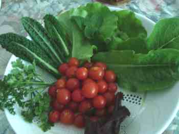 Health benefits of kale.