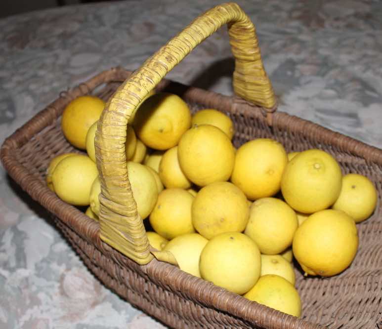 limes health benefits of