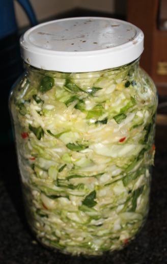 Homemade sauerkraut is a great probiotic. Homemade sauerkraut is a great probiotic.