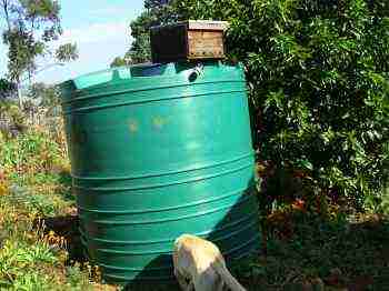A honey bee trap on a water tank.