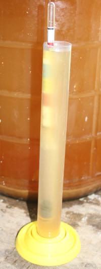 Hydrometer and test jar for measuring the pH of mead