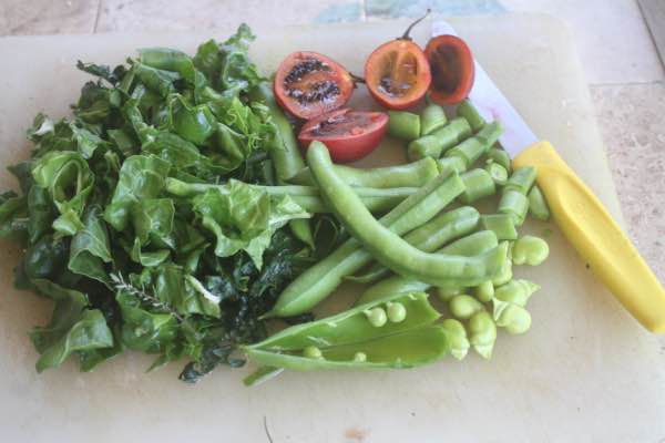 Ingredients for broad bean goulash