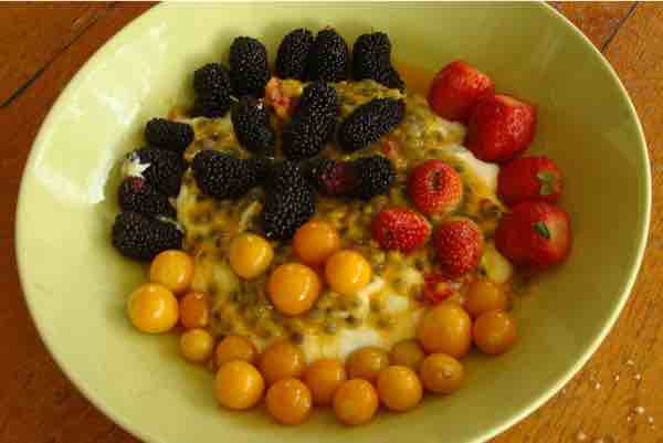 Invasive alien breakfast