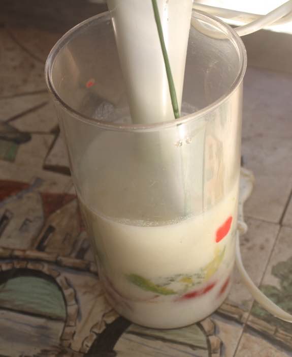 Kefir salsa being blended
