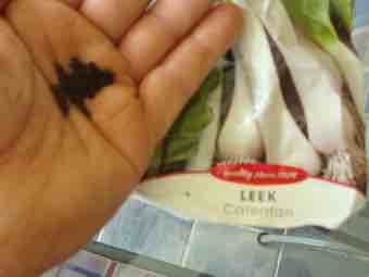 Leek seed are easily available at your gardening shop. Leek seed are easily available at your gardening shop.