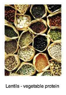 Lentils for vegetable protein. Lentils for vegetable protein.