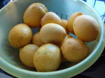 First fruit of limes from the garden.