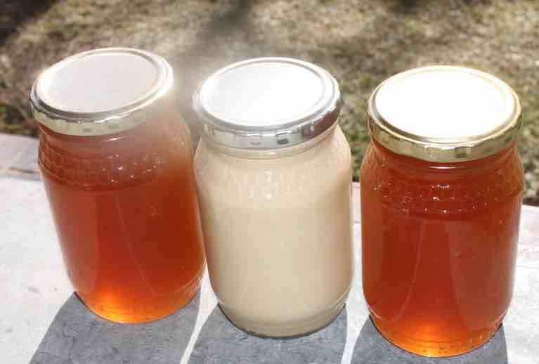 Liquid and creamed honey.