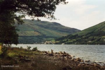 Loch Earn pig farming. Loch Earn pig farming.