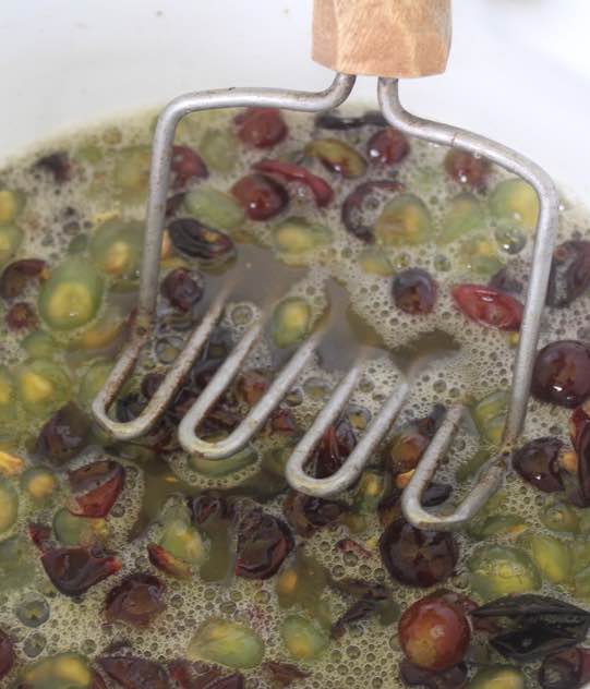 Mashing Catawba grapes for honey mead Mashing Catawba grapes for honey mead