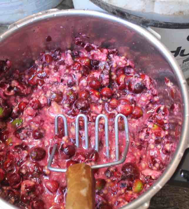 Mashing cherry guavas for a honey mead. Mashing cherry guavas for a honey mead.