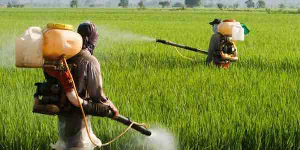 Monsanto's gift to the world.