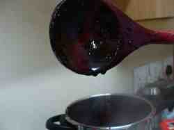 Gel point of mulberry purple foods Gel point of mulberry purple foods