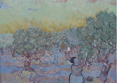 Olive Orchard by van Gogh Olive Orchard by van Gogh