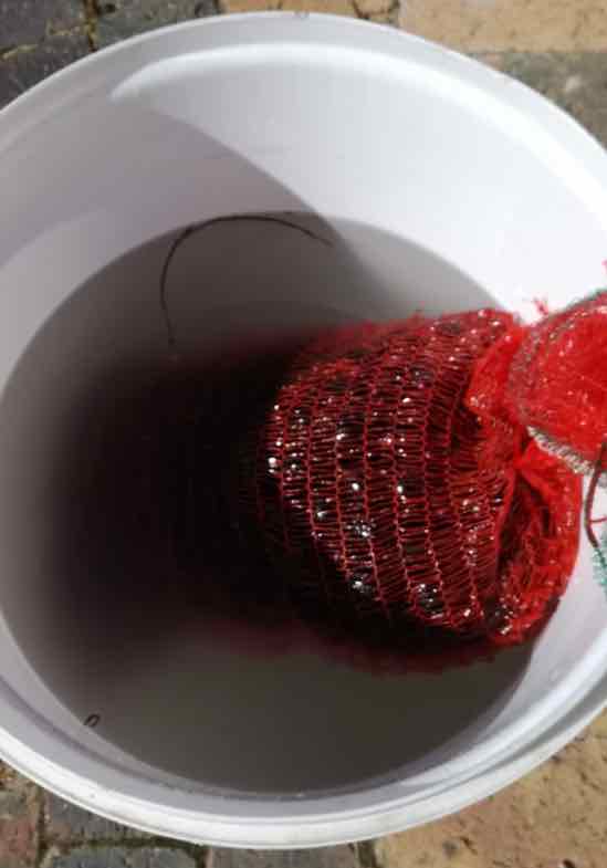 Olives in bags in brine.