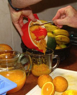 Orange juice facts should include the pith Orange juice facts should include the pith