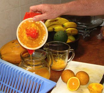 Orange juice facts being strained Orange juice facts being strained