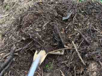 organic compost organic compost