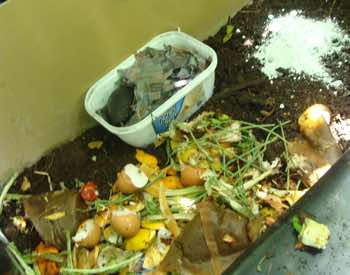 compost, kitchen waste, lime and worms compost, kitchen waste, lime and worms
