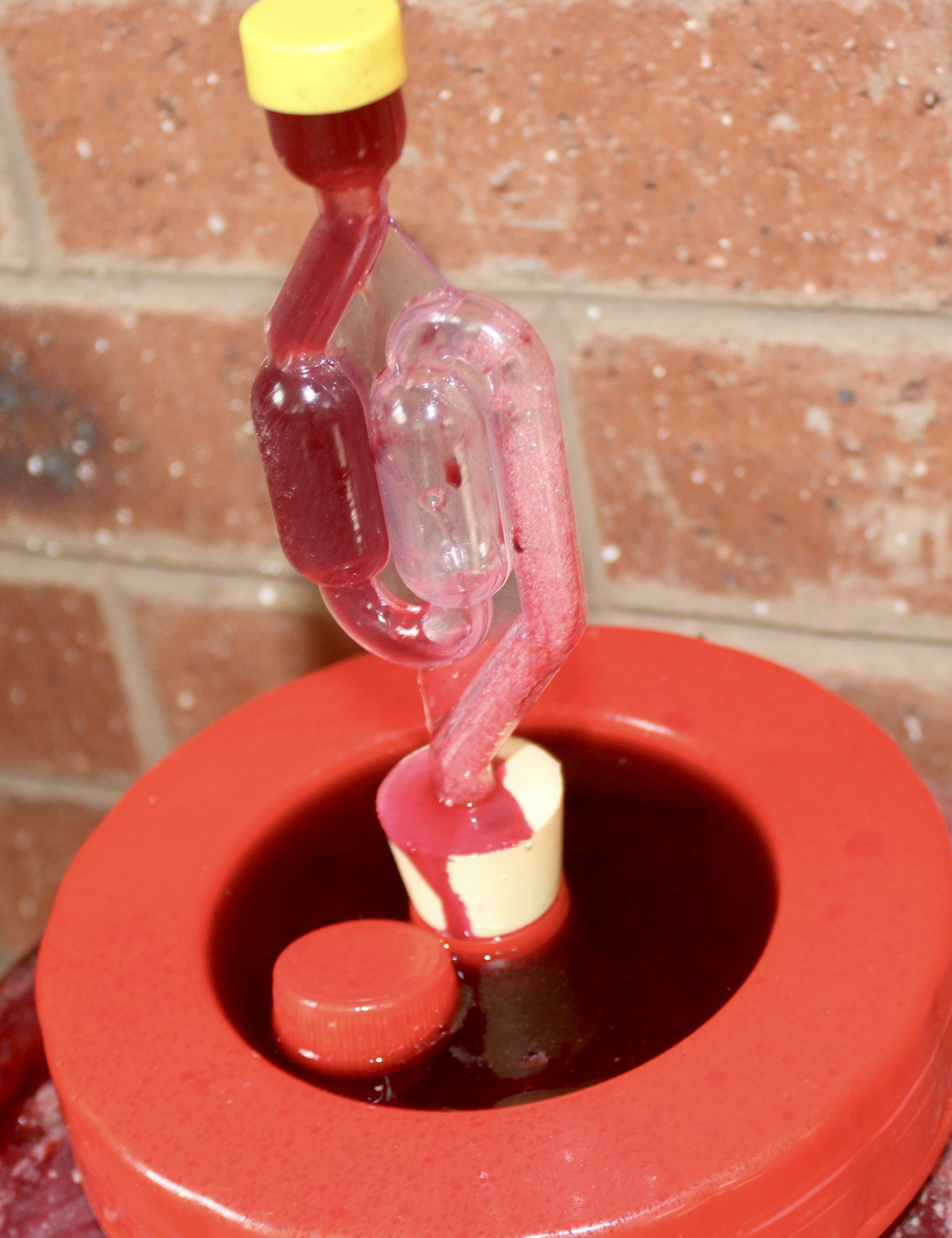Overfilled mead carboy