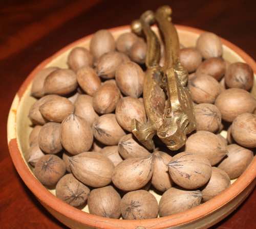Pecan nuts for vitamin E Pecan nuts for vitamin E