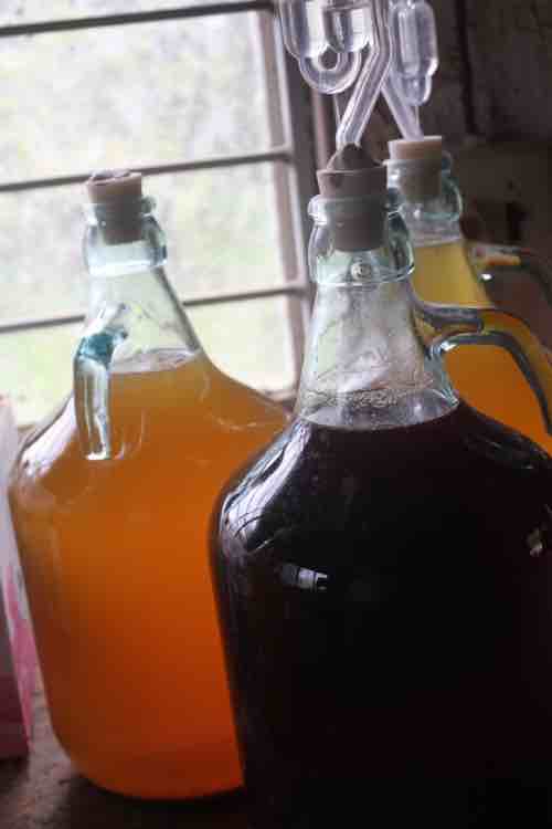 Peppadew and cherry guava meads. Peppadew and cherry guava meads.