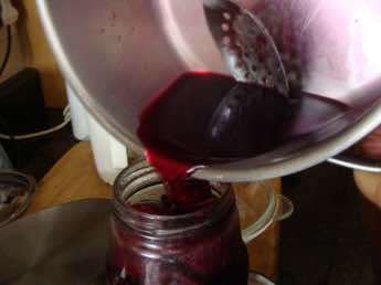 Pickled beets recipes Pickled beets recipes