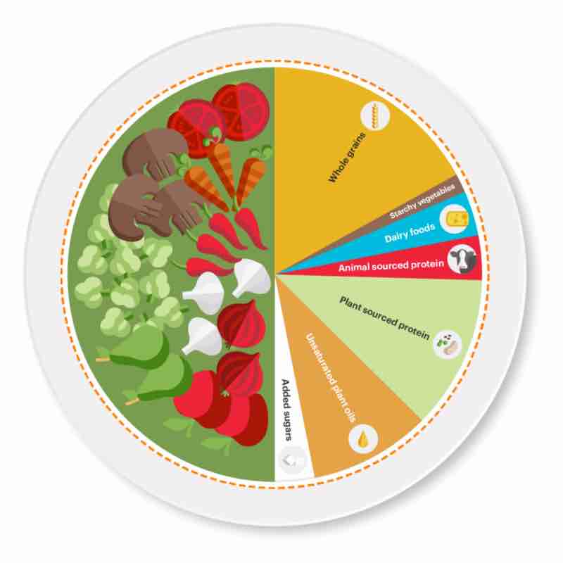 Planetary health diet wagon-wheel. Planetary health diet wagon-wheel.