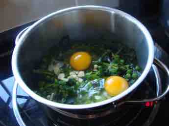 Planting broccoli for eggs Florentine. Planting broccoli for eggs Florentine.