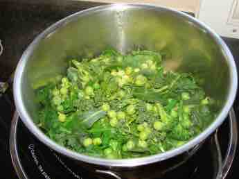 Planting broccoli in a pot. Planting broccoli in a pot.