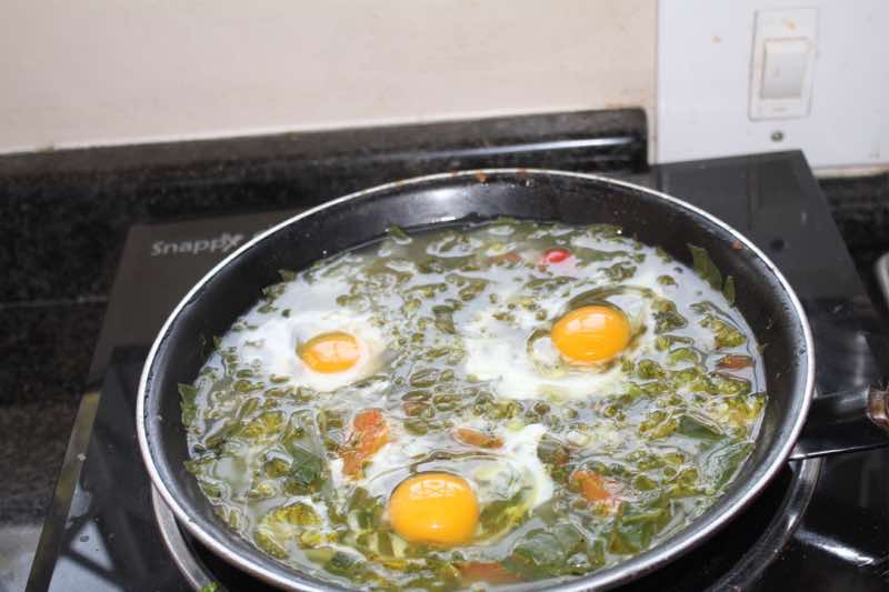 Poaching eggs branching broccoli. Poaching eggs branching broccoli.