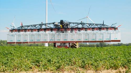 potato haulm dessication with paraquat