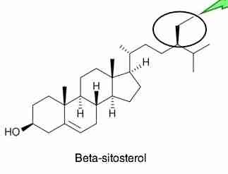 Beta-sitosterol protects the prostate gland