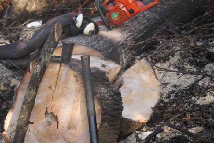 Protective chainsaw gear and tools Protective chainsaw gear and tools