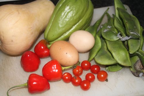 Protein from a lima bean shakshuka Protein from a lima bean shakshuka